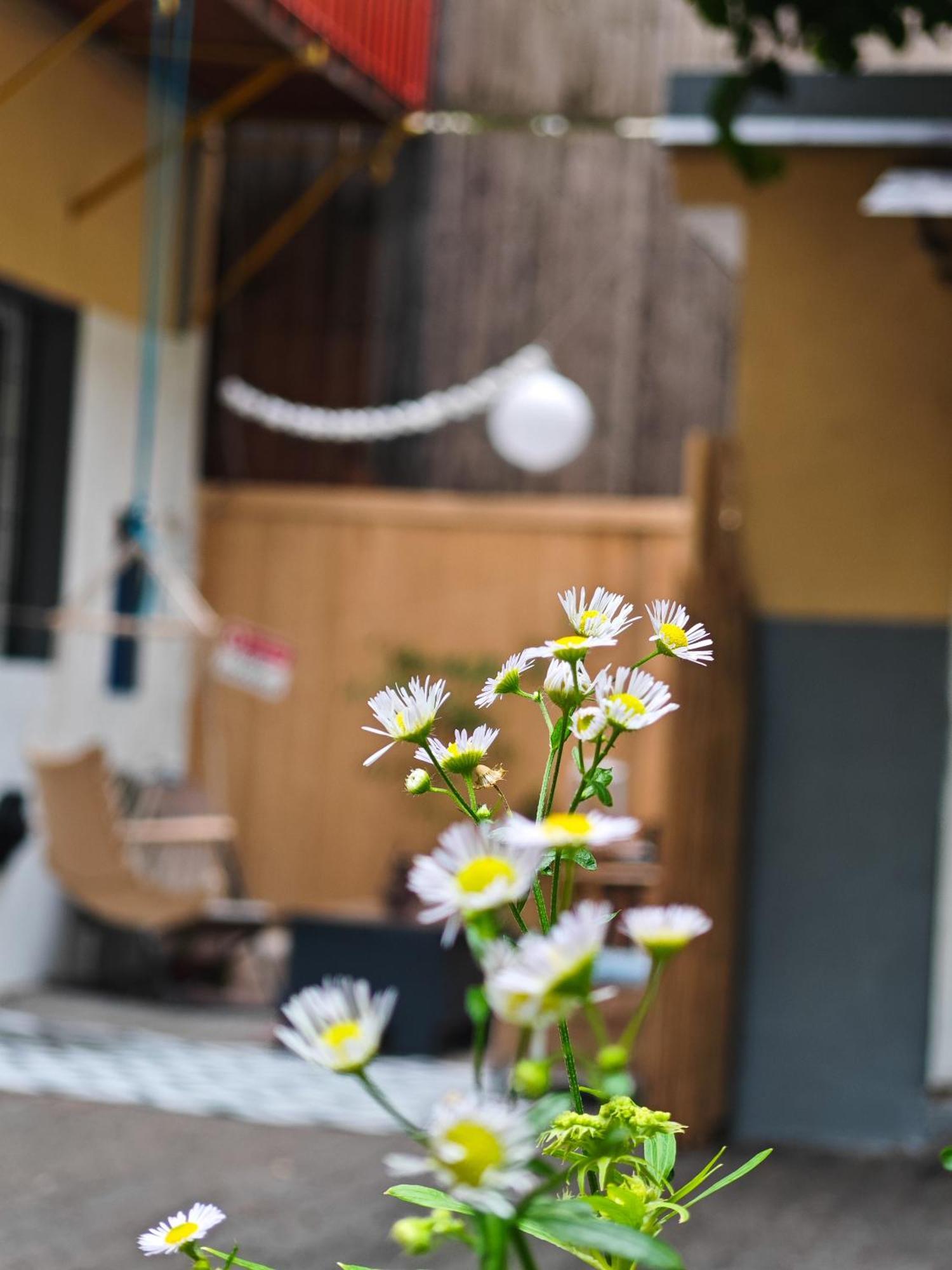 Vintage Room With Garden View Bratislava Exteriér fotografie