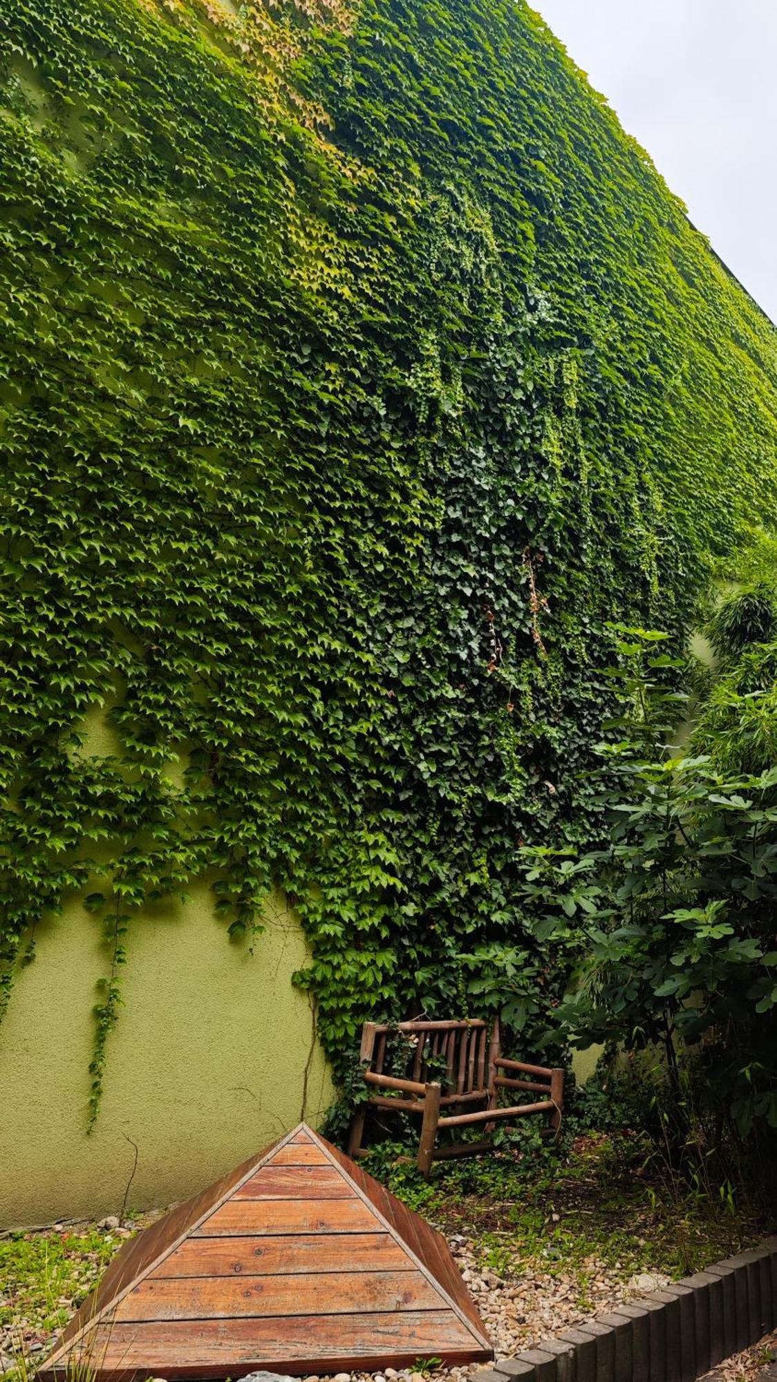 Vintage Room With Garden View Bratislava Exteriér fotografie