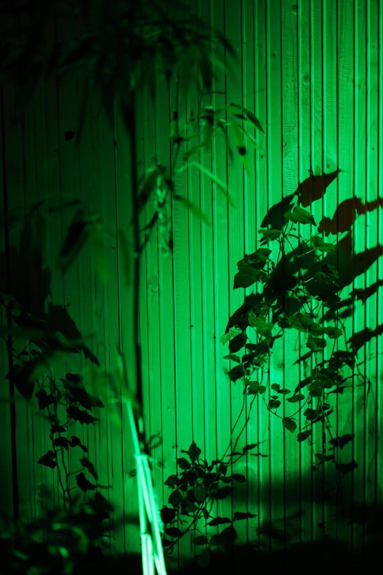 Vintage Room With Garden View Bratislava Exteriér fotografie